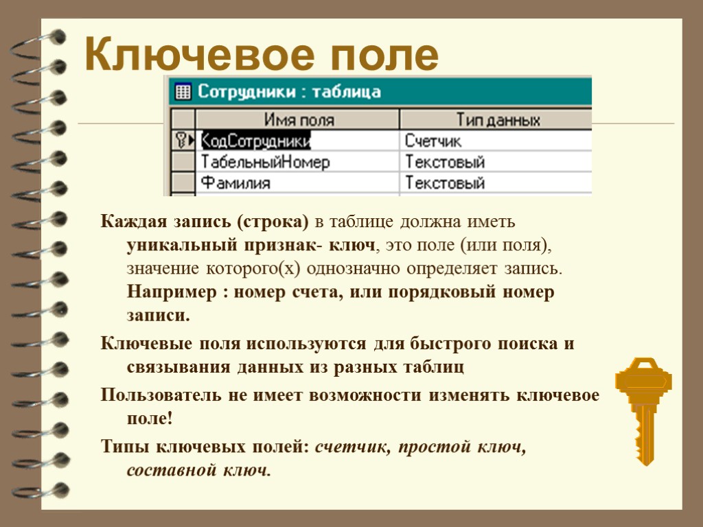 Ключевое поле Каждая запись (строка) в таблице должна иметь уникальный признак- ключ, это поле